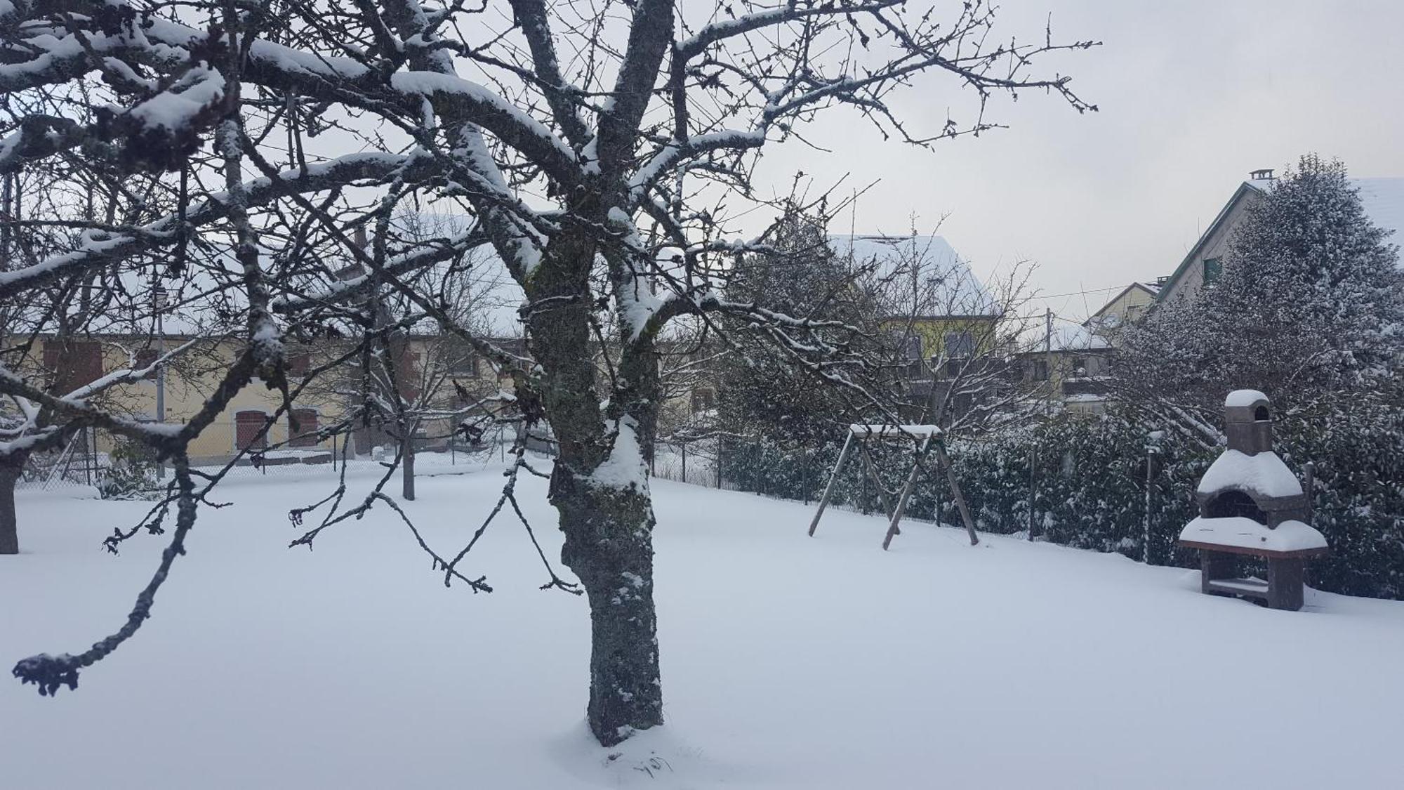 Maison De Vacances Freconrupt La Broque Zewnętrze zdjęcie