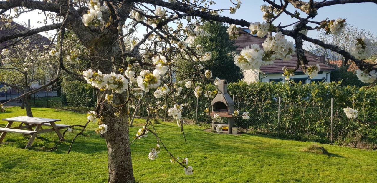 Maison De Vacances Freconrupt La Broque Zewnętrze zdjęcie